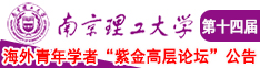 操女人玩黄片南京理工大学第十四届海外青年学者紫金论坛诚邀海内外英才！